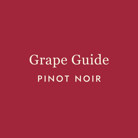 The Seduction of Pinot Noir: Why This Wine Keeps Breaking Hearts