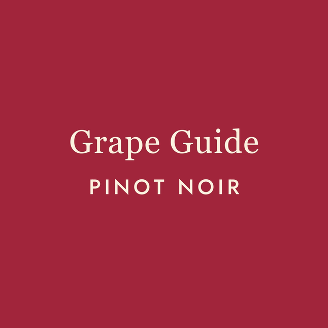 The Seduction of Pinot Noir: Why This Wine Keeps Breaking Hearts