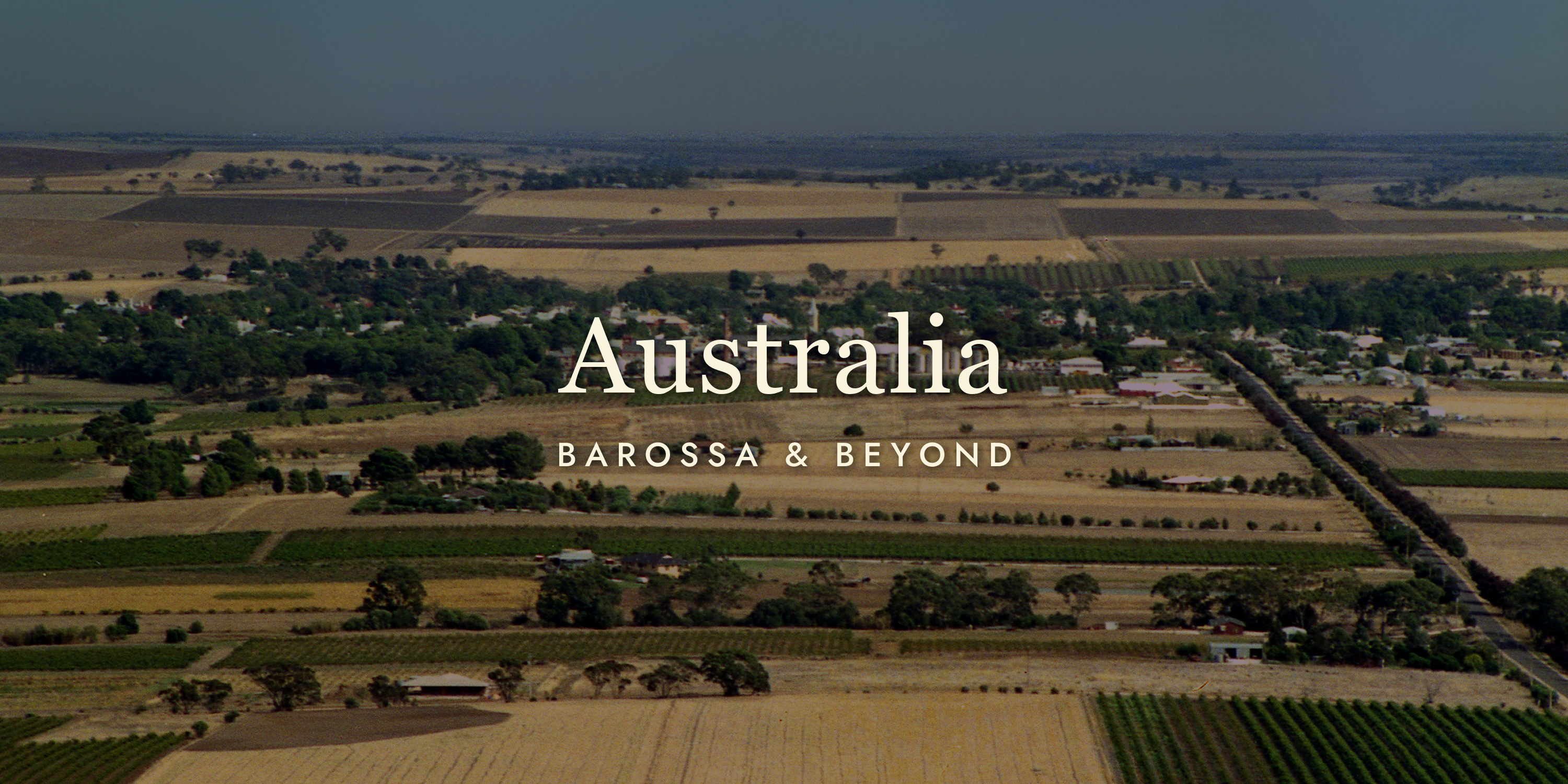 Australian Wine: From Barossa Shiraz to Hunter Valley Semillon