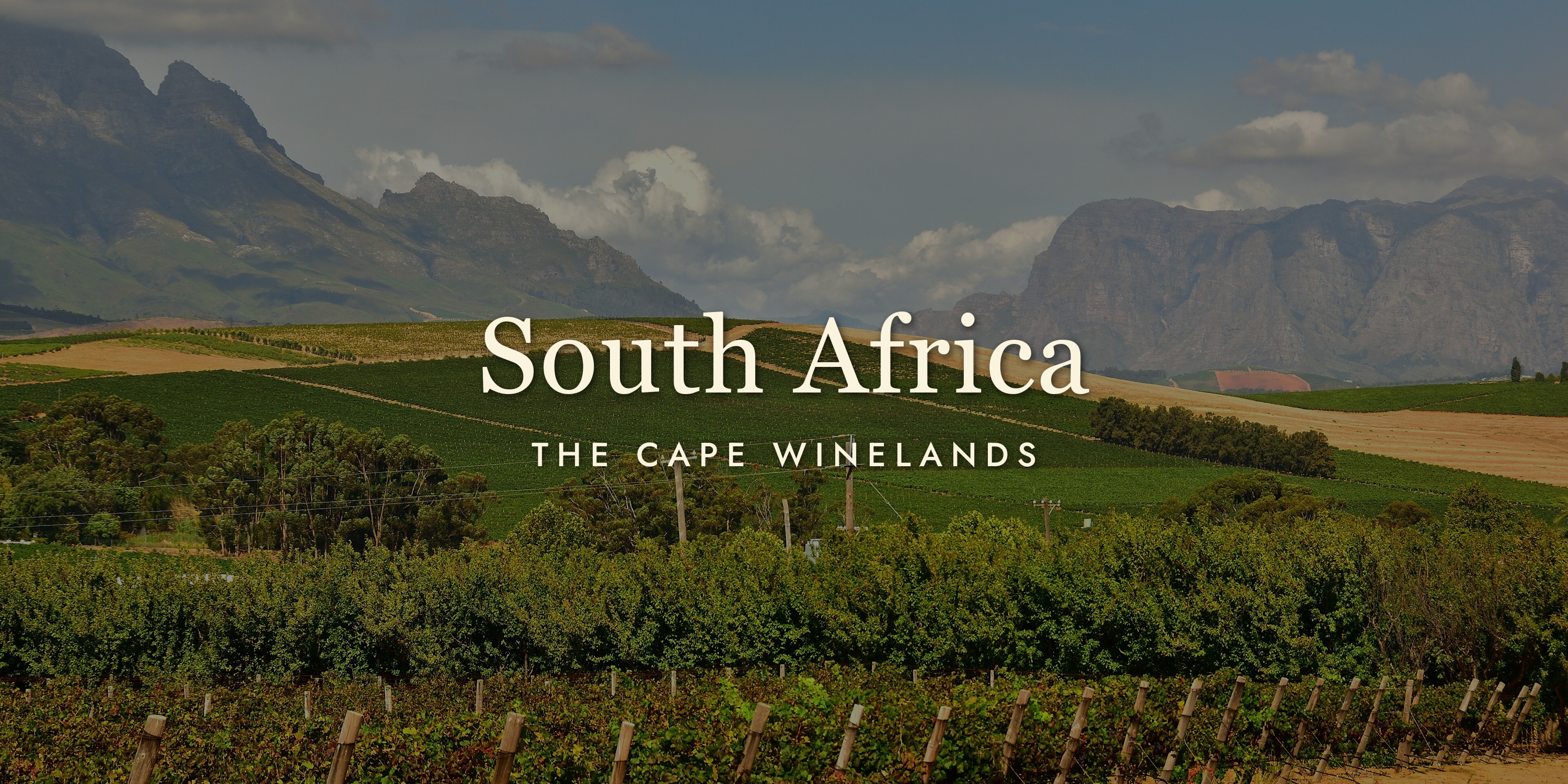 South African Wine: The World's Most Exciting Vineyards Right Now