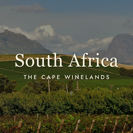 South African Wine: The World's Most Exciting Vineyards Right Now