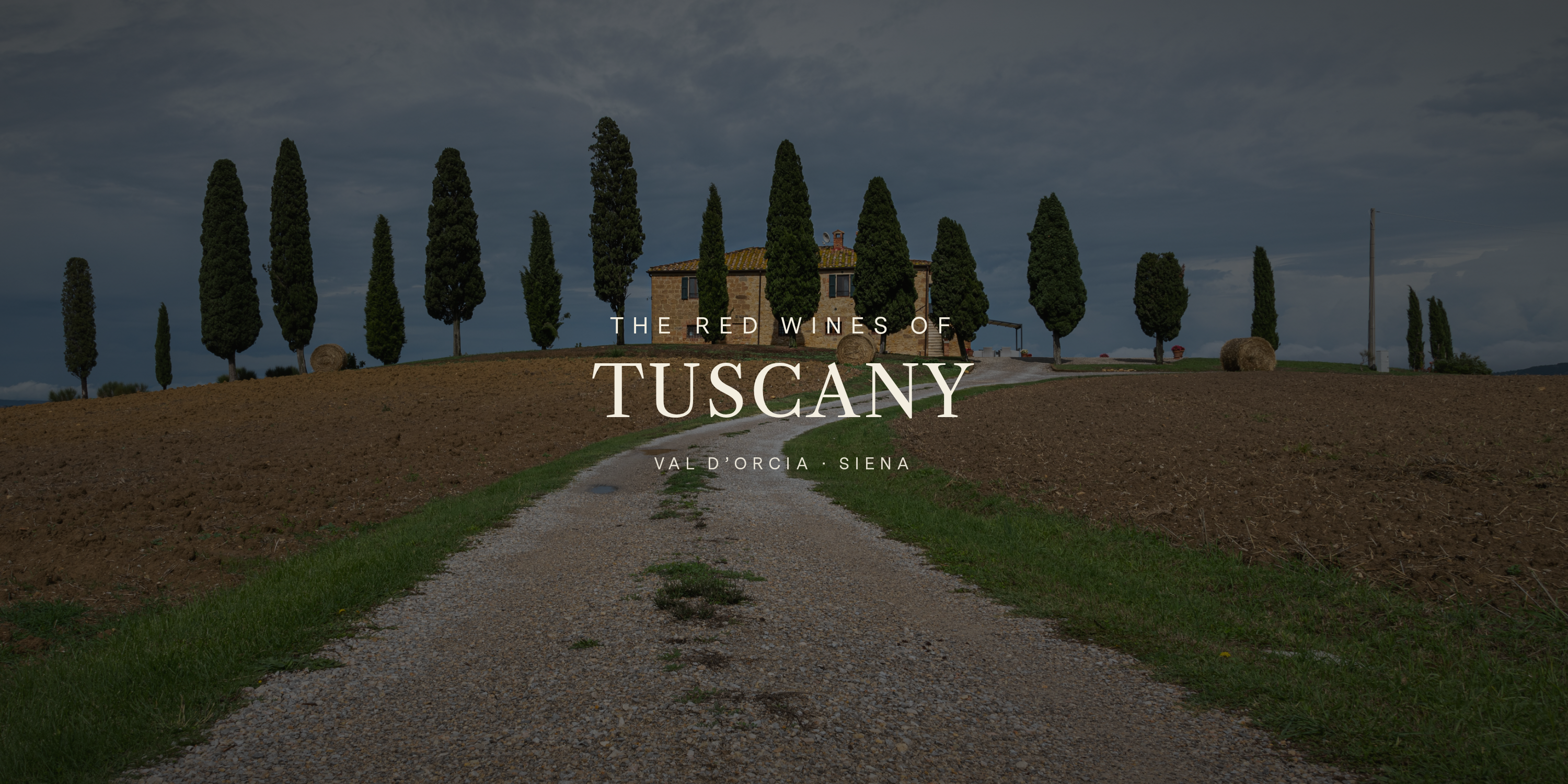 Everything You Need to Know About Tuscan Reds