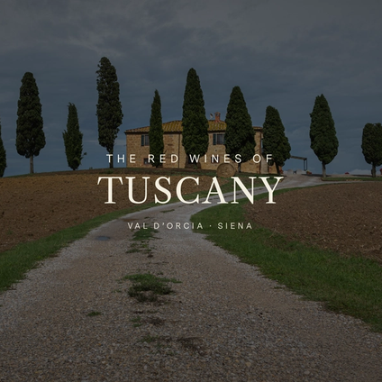 Everything You Need to Know About Tuscan Reds