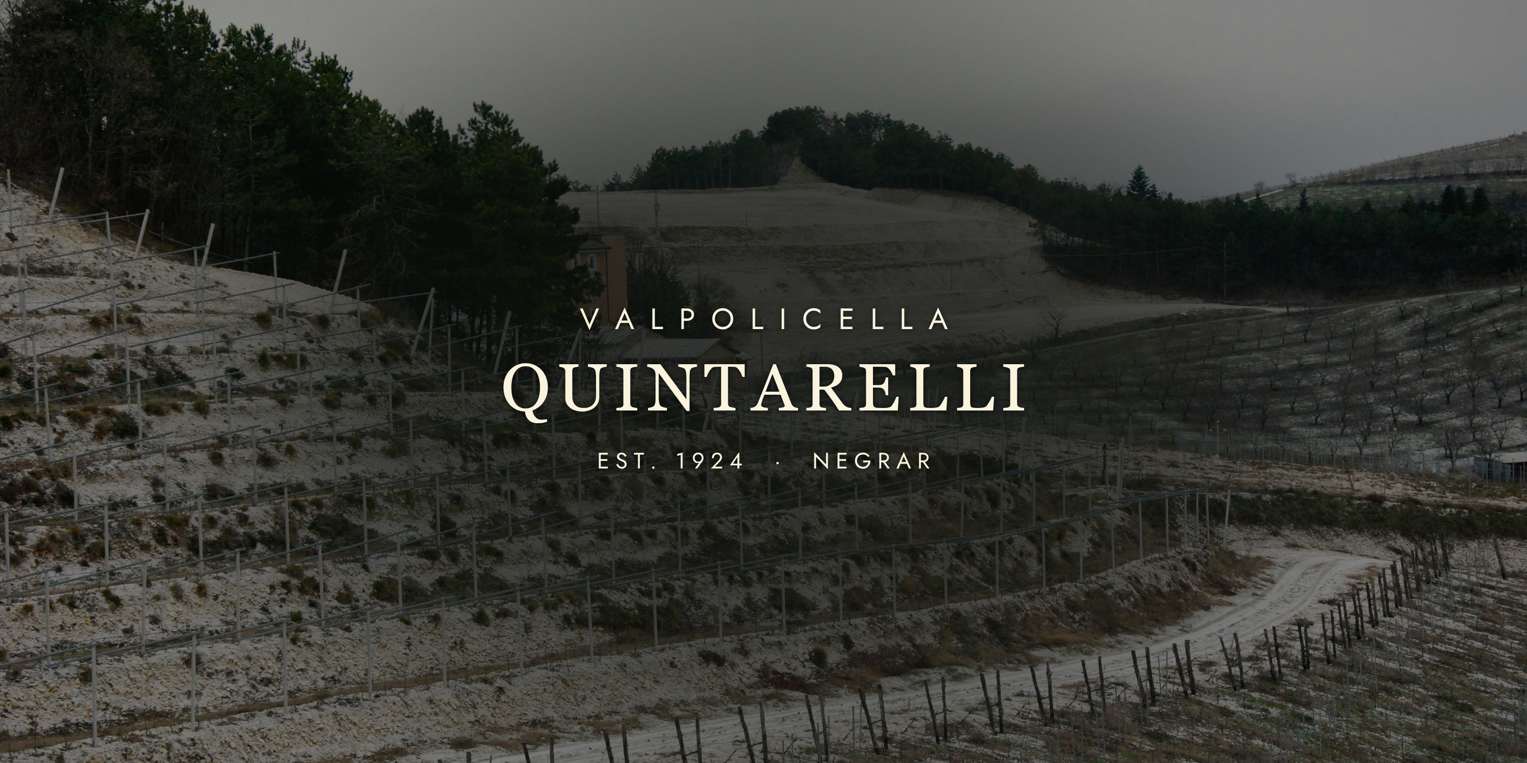 Quintarelli: The Legend of Amarone's Greatest Producer