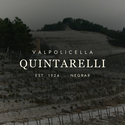 Quintarelli: The Legend of Amarone's Greatest Producer