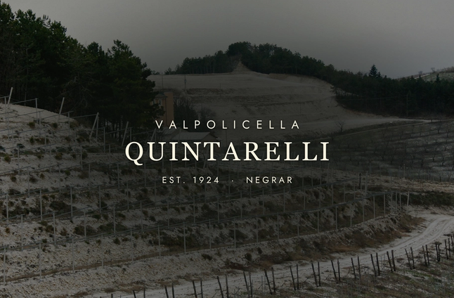 Quintarelli: The Legend of Amarone's Greatest Producer