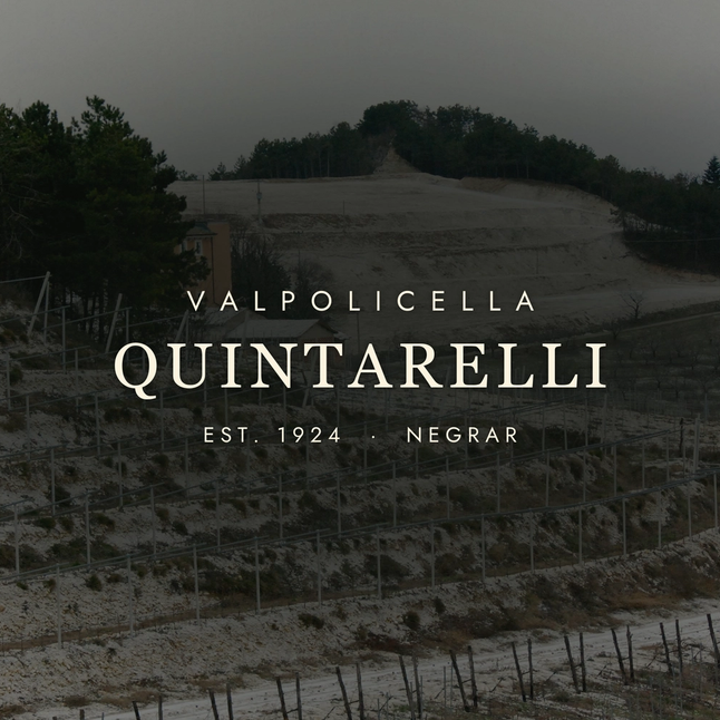 Quintarelli: The Legend of Amarone's Greatest Producer