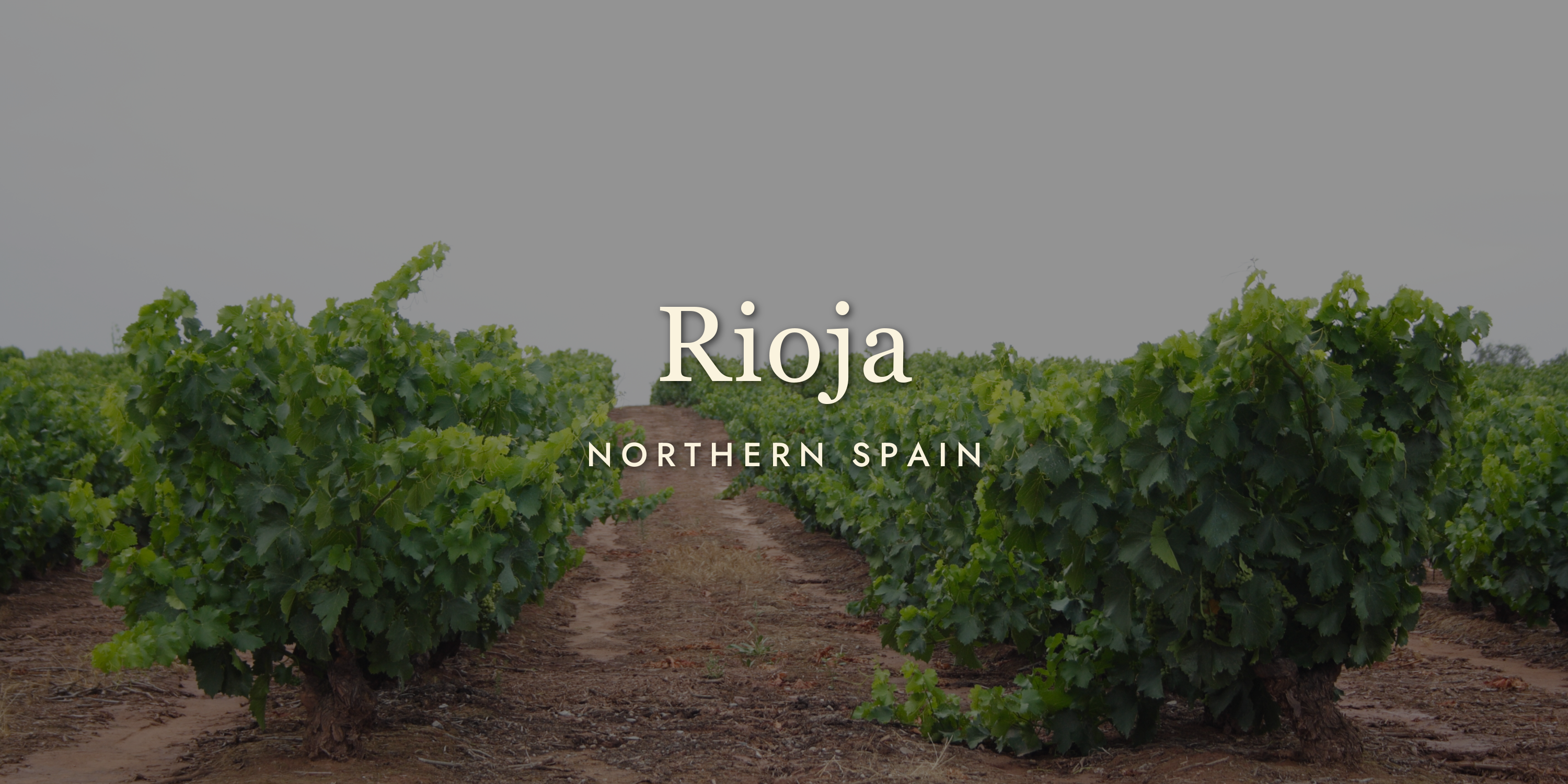 Rioja Wine: Spain's Most Iconic Red, Decoded