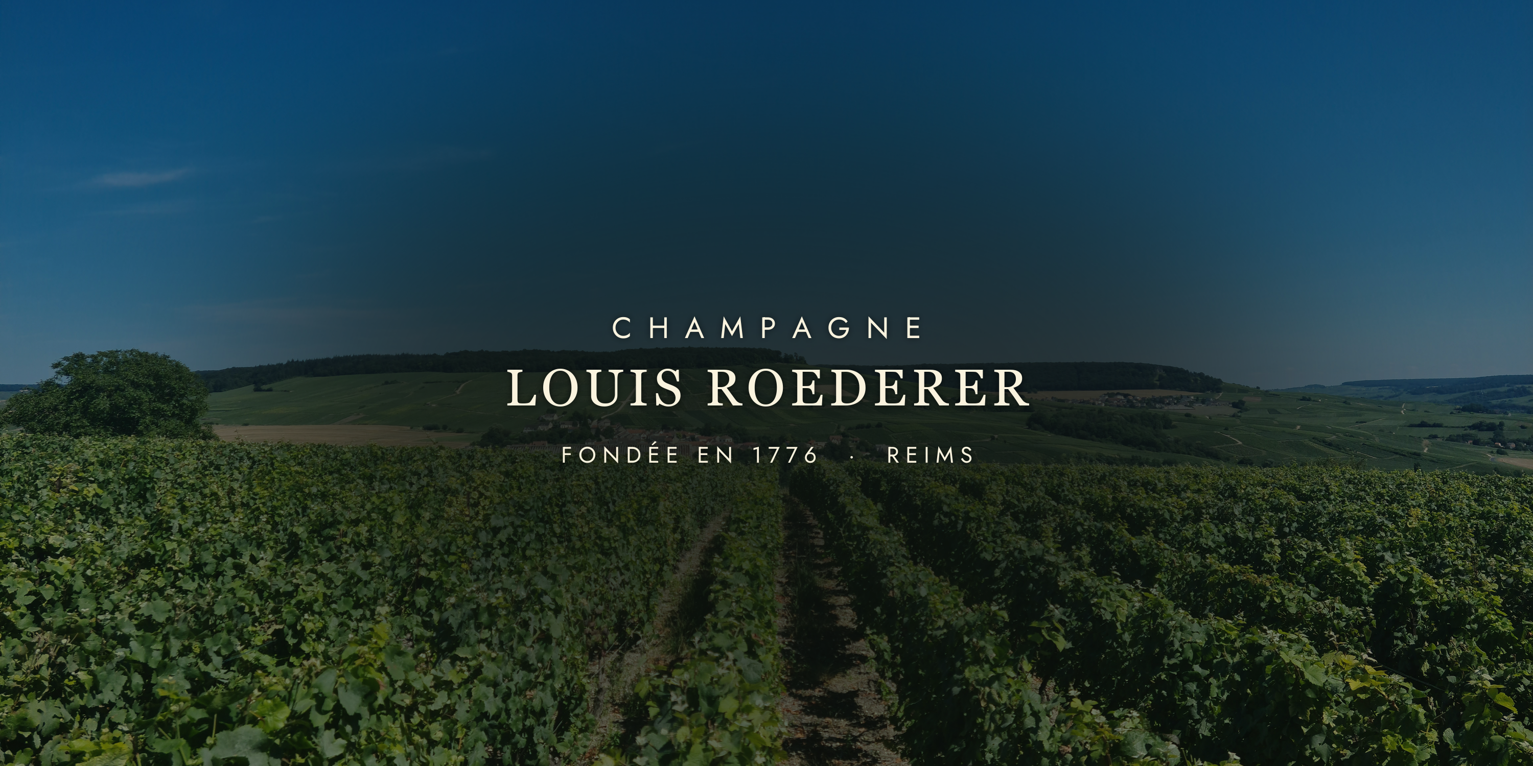 Louis Roederer: The Family Behind Cristal