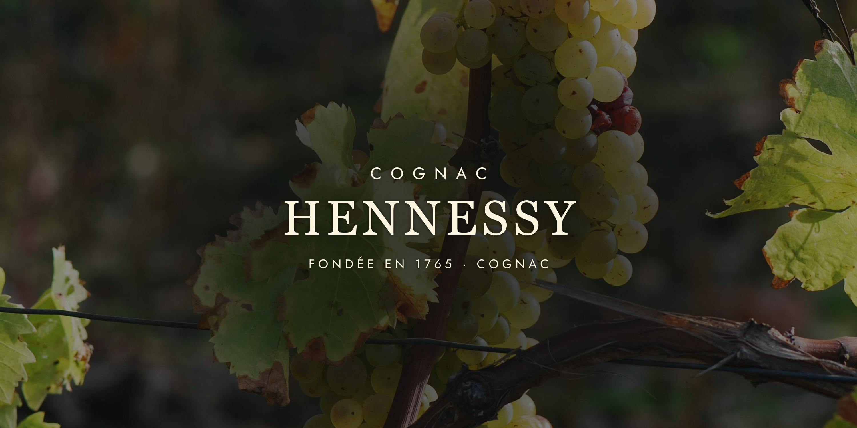 Hennessy: The World's Favourite Cognac