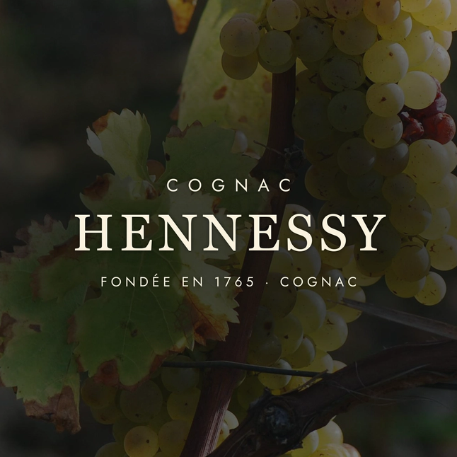 Hennessy: The World's Favourite Cognac