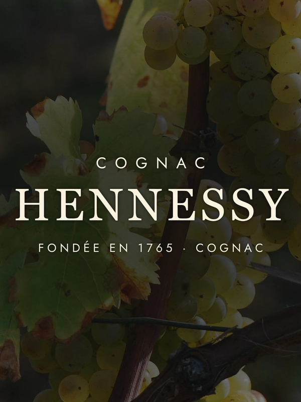 Hennessy: The World's Favourite Cognac