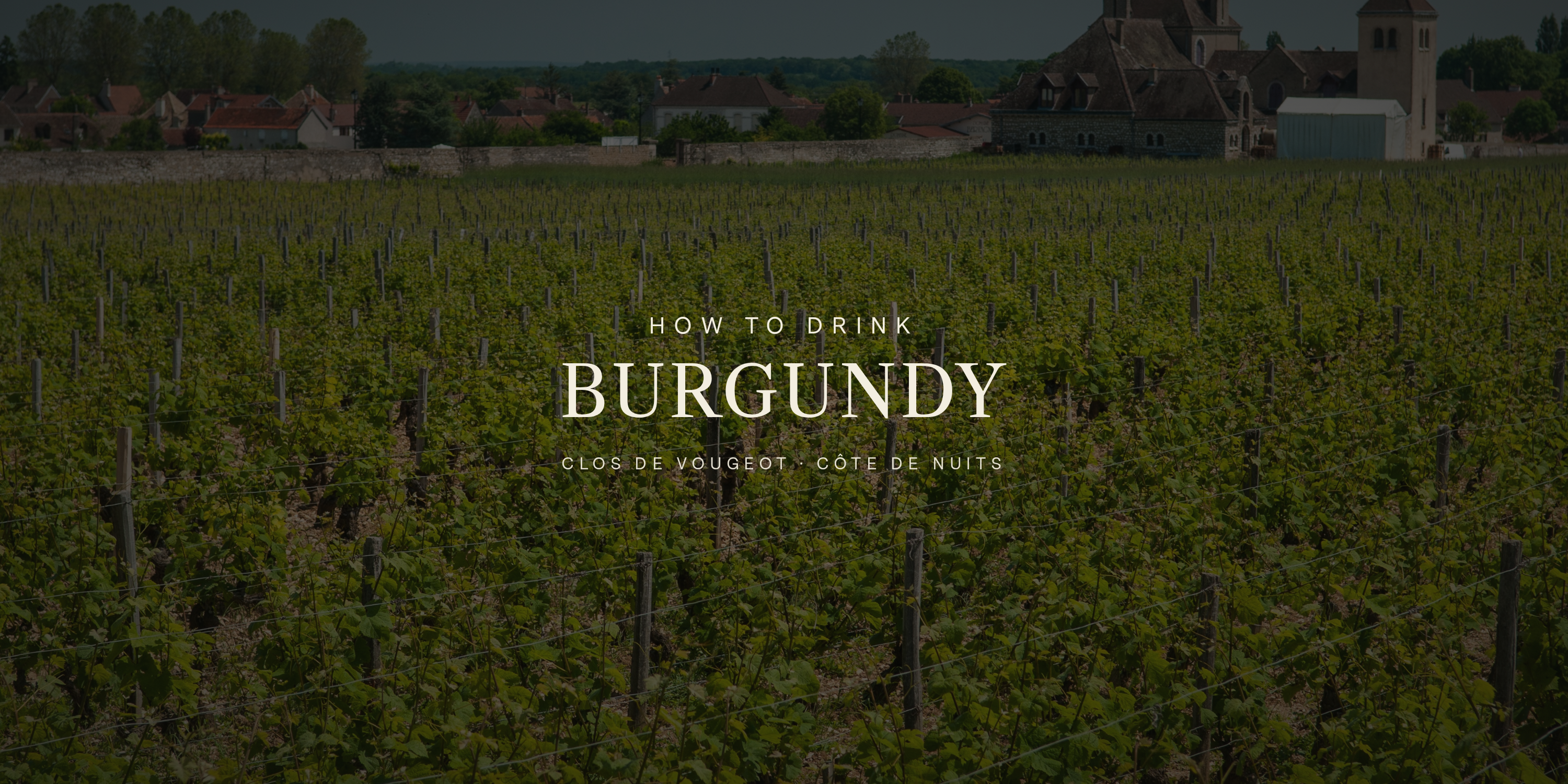How to Drink Burgundy Without the Fear