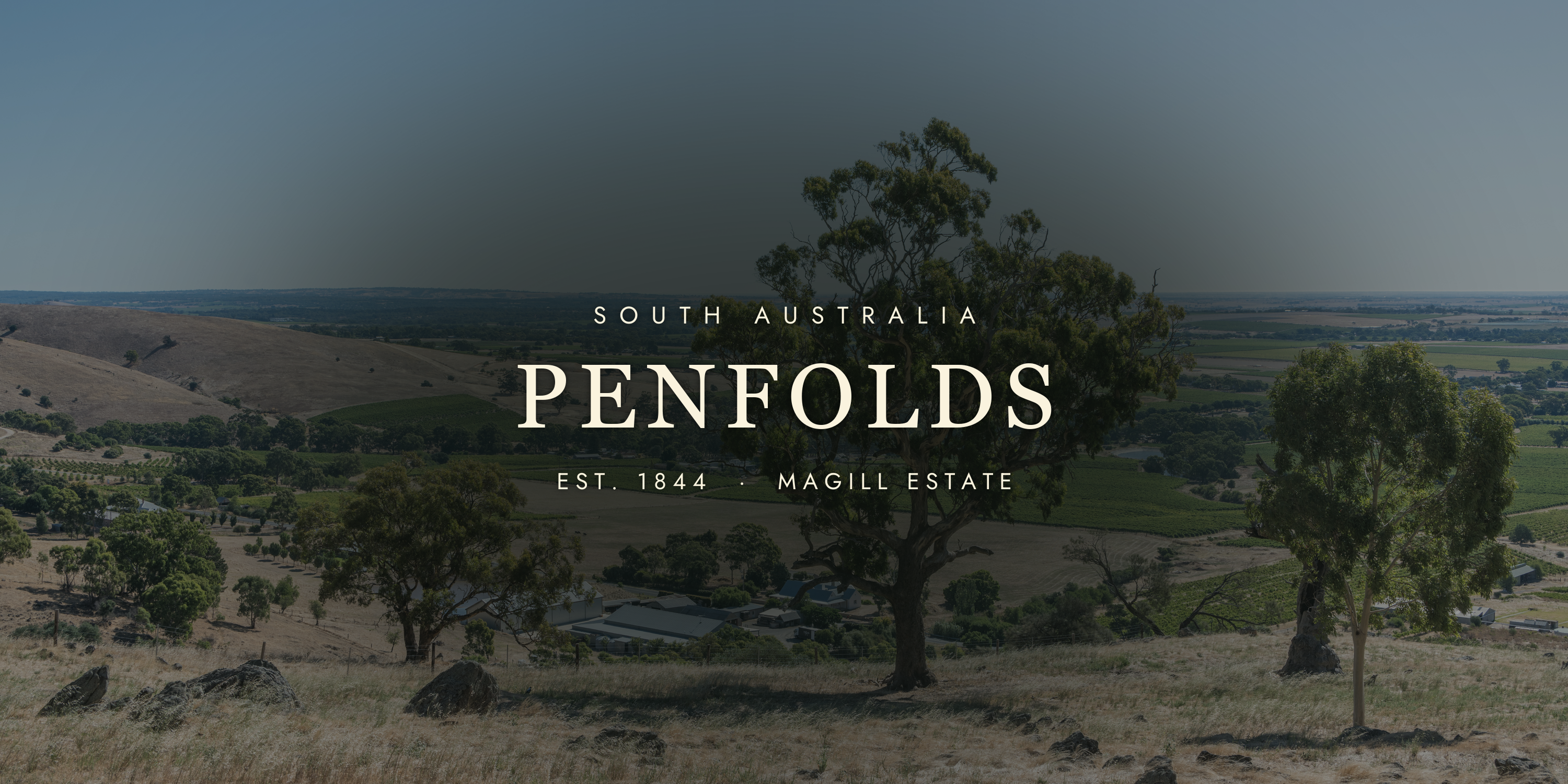 Penfolds: Australia's Most Iconic Winery, Explained
