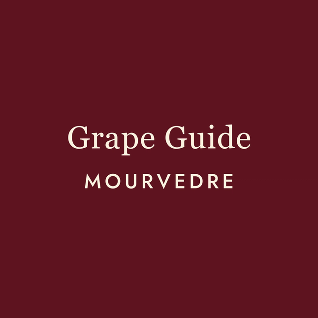 Mourvèdre: The Mediterranean's Best-Kept Secret