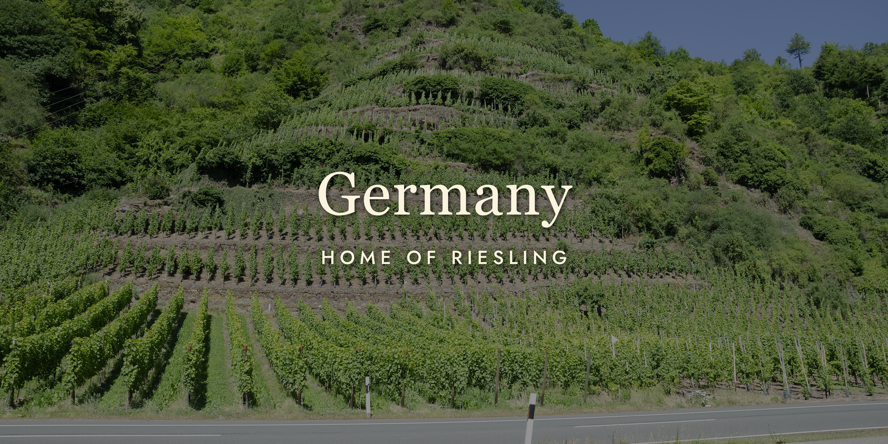 German Wine: Why Riesling Rules (and What Else to Try)