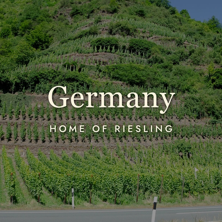 German Wine: Why Riesling Rules (and What Else to Try)
