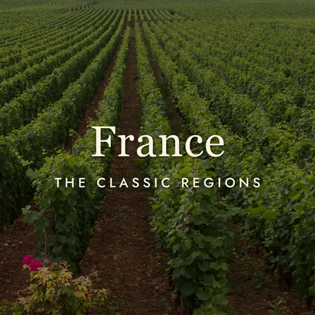France in a Glass: A Cheat Sheet to the Classic Wine Regions