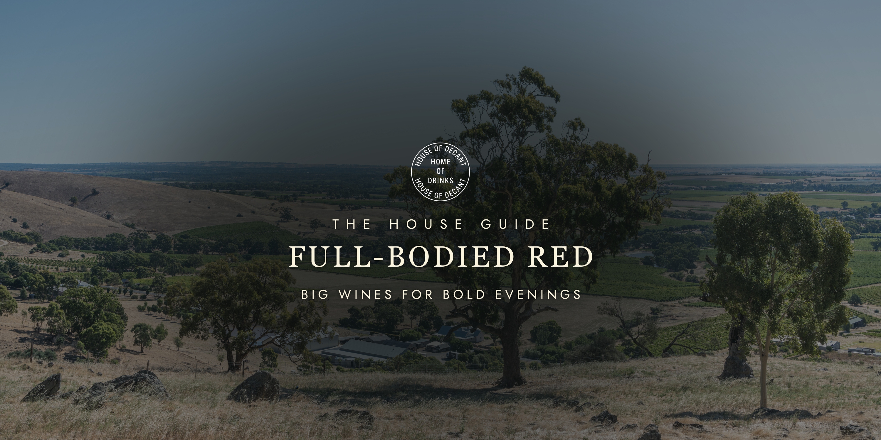 Full-Bodied Red Wine: Big Wines for Bold Evenings