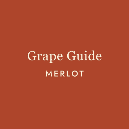 Merlot: The Wine Everyone Keeps Getting Wrong
