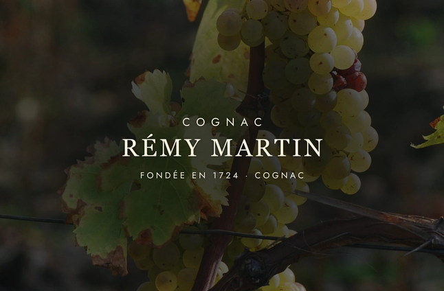 Rémy Martin: The Cognac of Two Crus