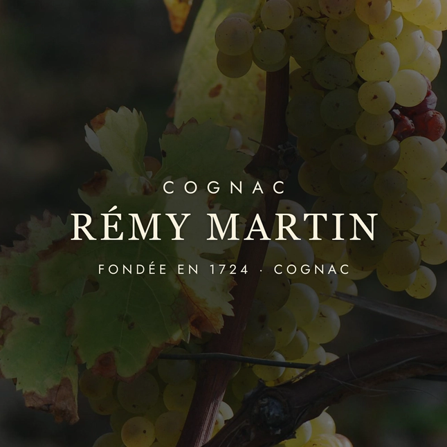 Rémy Martin: The Cognac of Two Crus