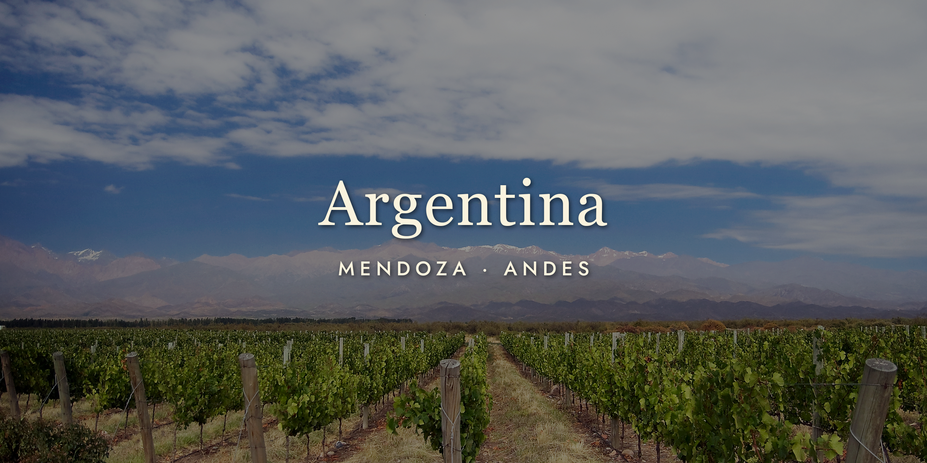 Argentine Wine: Malbec and a Whole Lot More