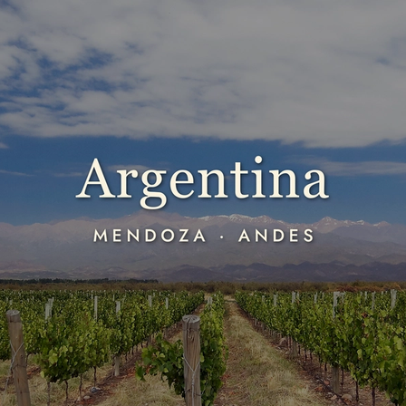 Argentine Wine: Malbec and a Whole Lot More