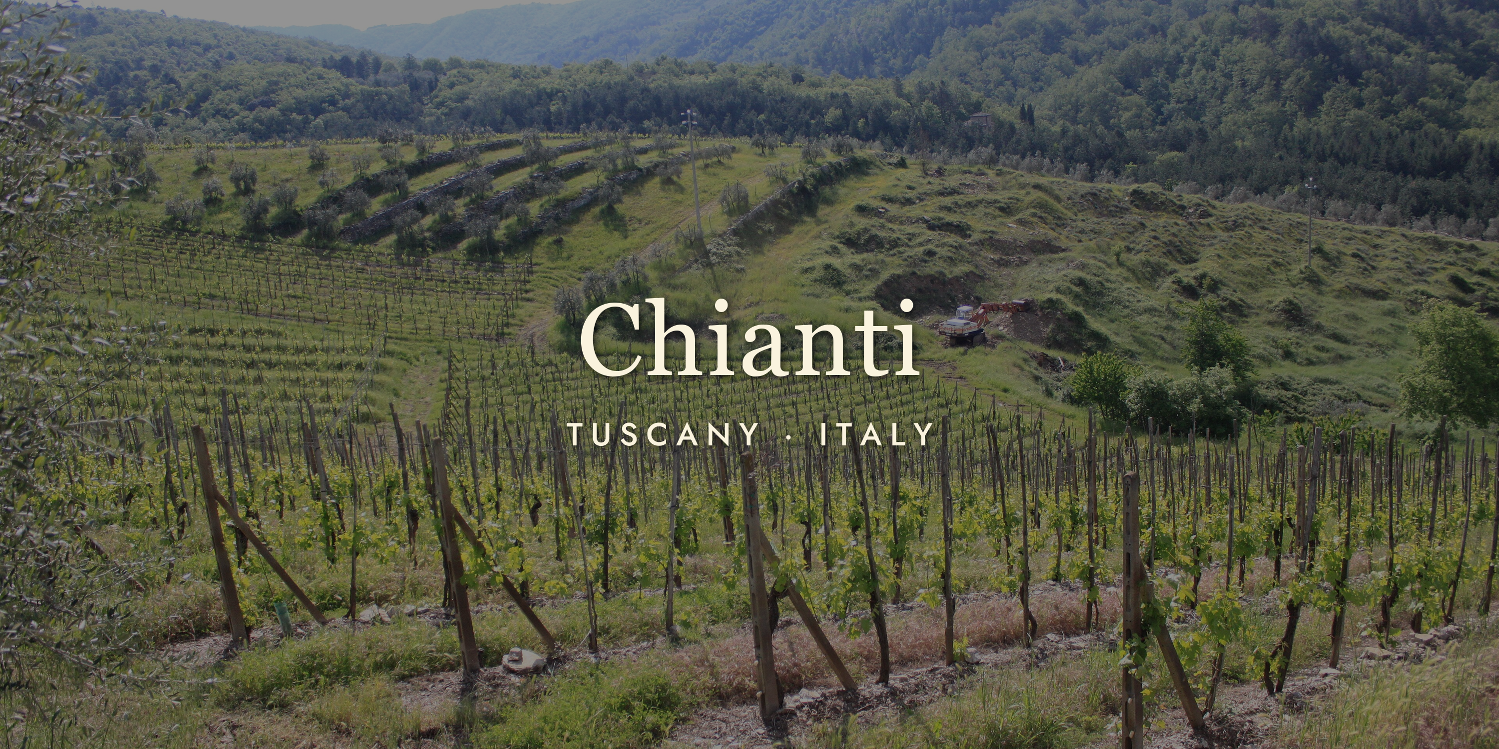 Chianti Wine: Far More Than a Straw-Covered Bottle