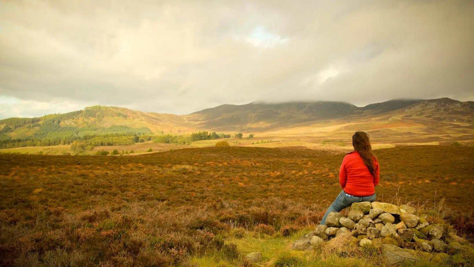 Exploring Whisky Holidays: A Perfect Getaway