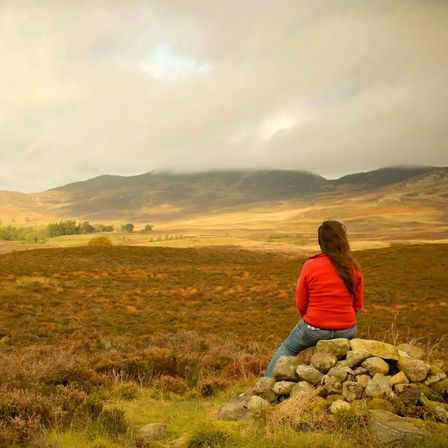 Exploring Whisky Holidays: A Perfect Getaway
