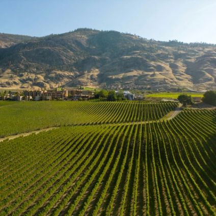 Is Southern England really the next Napa Valley?