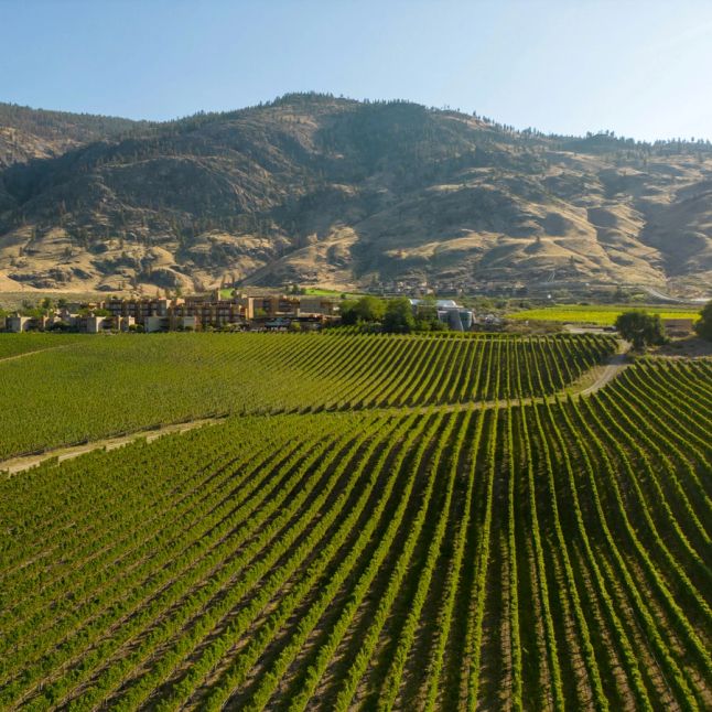 Is Southern England really the next Napa Valley?