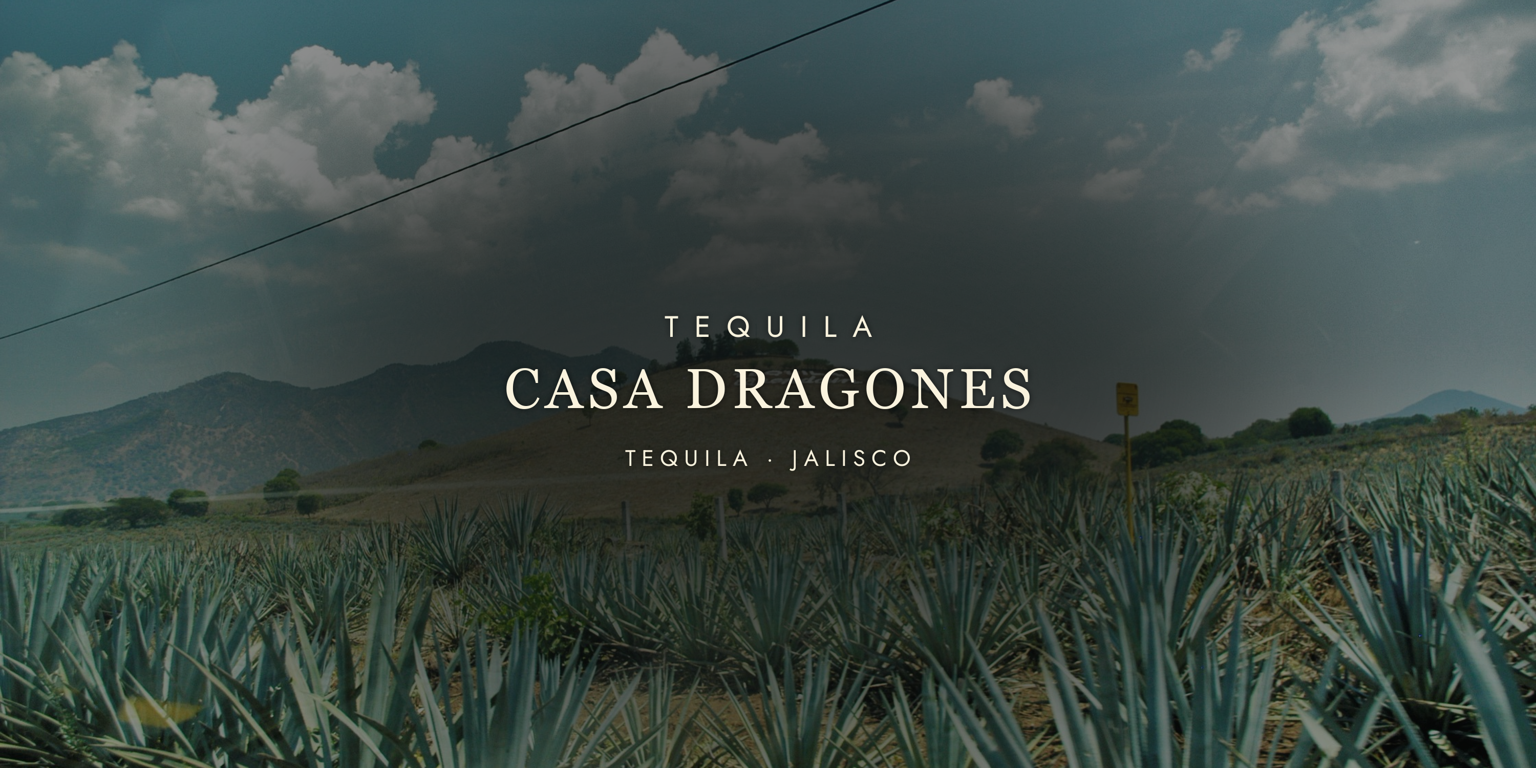 Casa Dragones: The Art of Sipping Tequila
