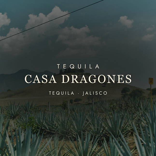 Casa Dragones: The Art of Sipping Tequila