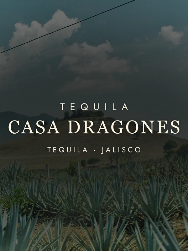 Casa Dragones: The Art of Sipping Tequila