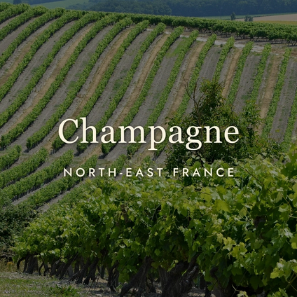 Champagne: The Region, Not Just the Drink
