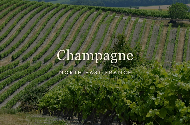 Champagne: The Region, Not Just the Drink