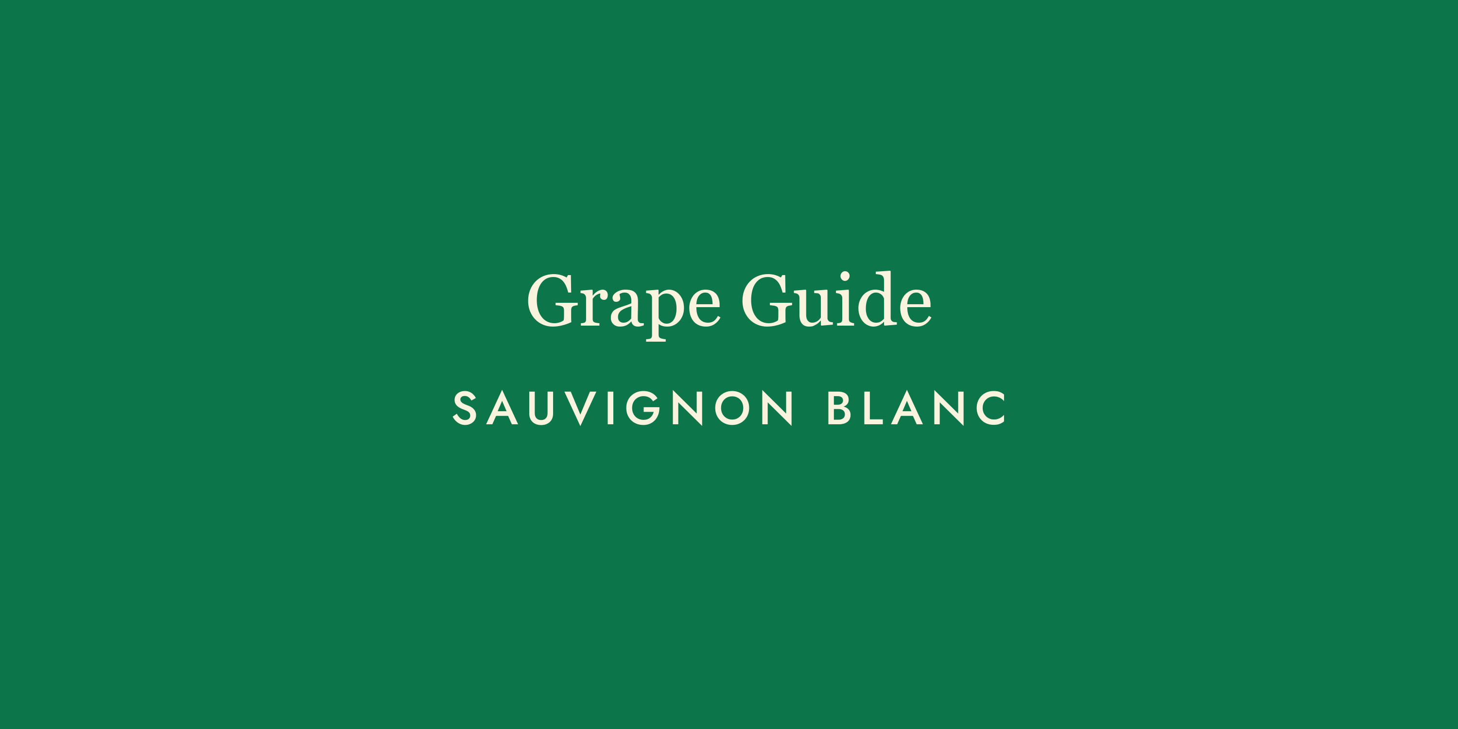 Sauvignon Blanc: The Wine That Wakes You Up