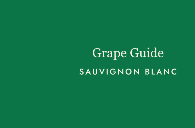 Sauvignon Blanc: The Wine That Wakes You Up
