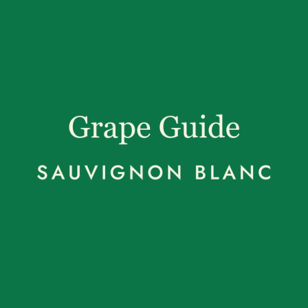 Sauvignon Blanc: The Wine That Wakes You Up