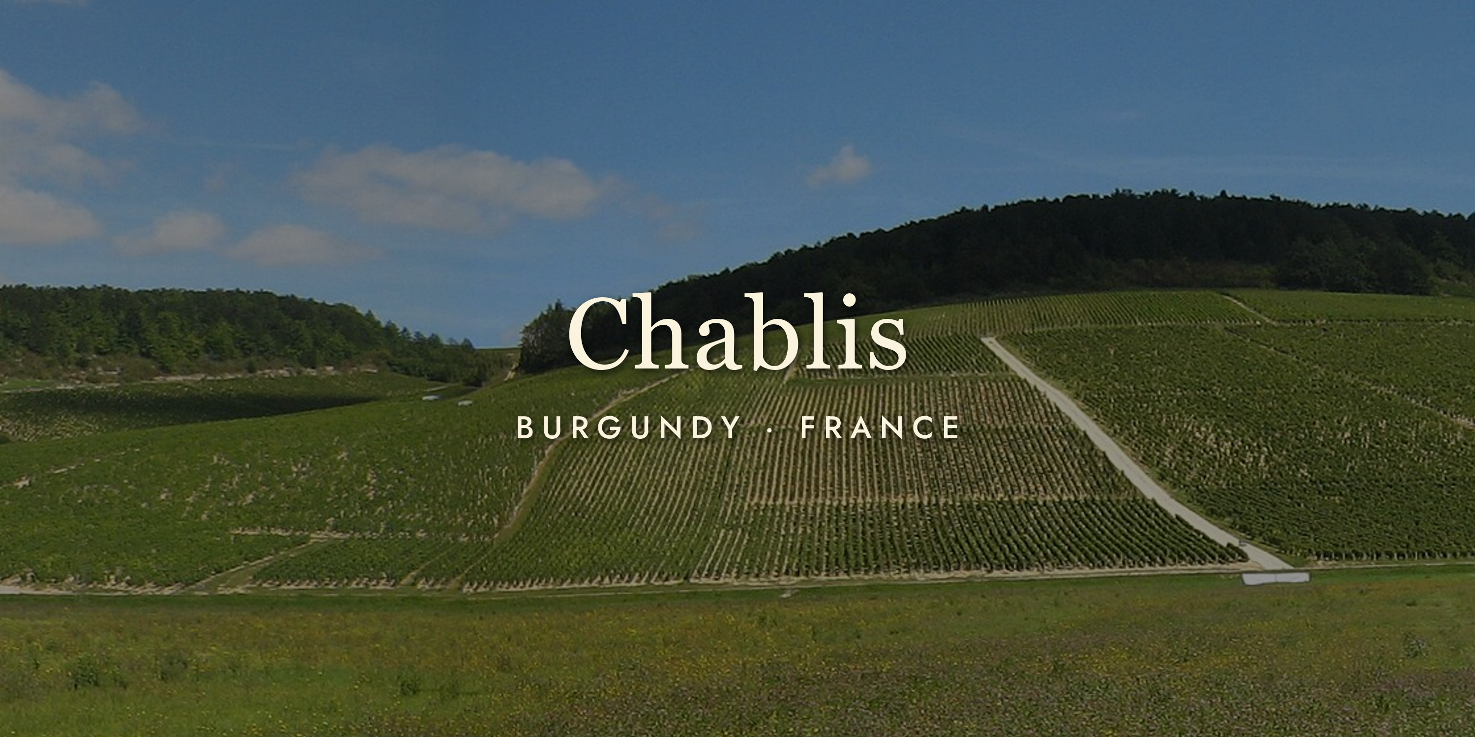 Chablis: Burgundy's Crisp, Mineral Other Half