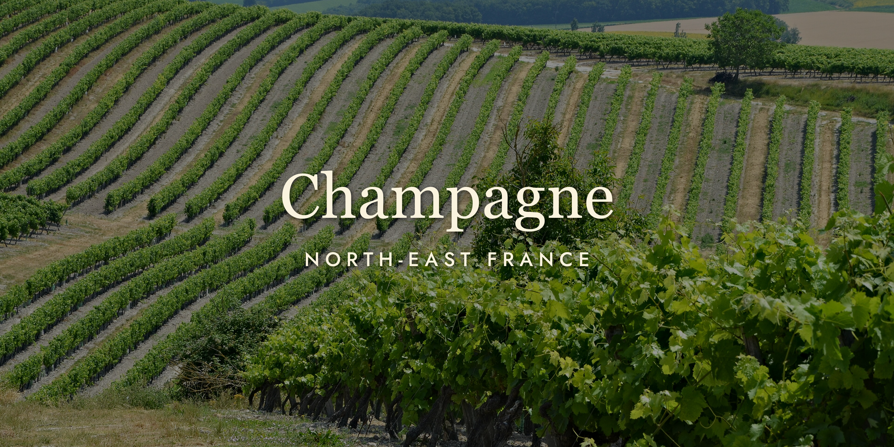 Champagne: The Region, Not Just the Drink