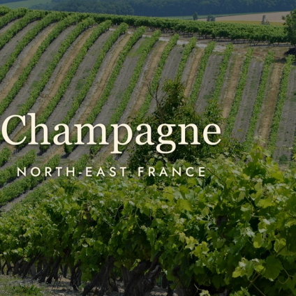 Champagne: The Region, Not Just the Drink