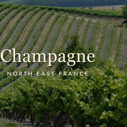 Champagne: The Region, Not Just the Drink