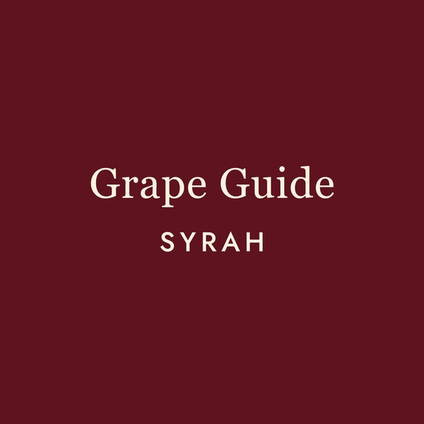 Syrah: One Grape, Two Personalities, Infinite Possibilities