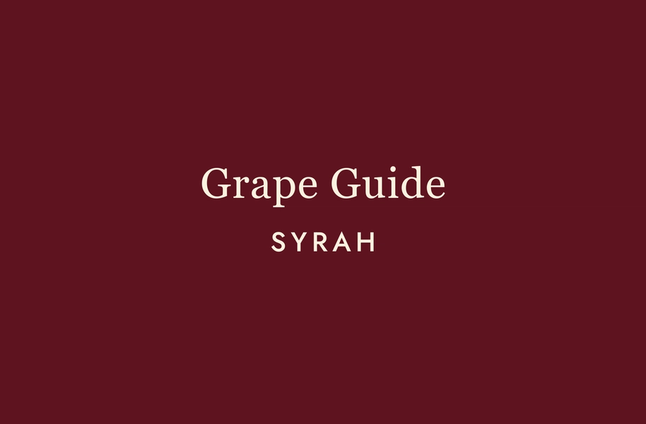 Syrah: One Grape, Two Personalities, Infinite Possibilities