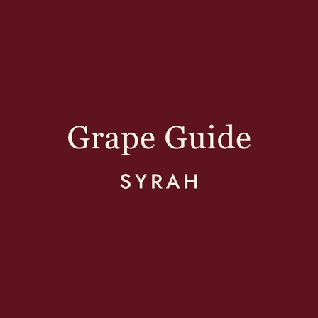 Syrah: One Grape, Two Personalities, Infinite Possibilities