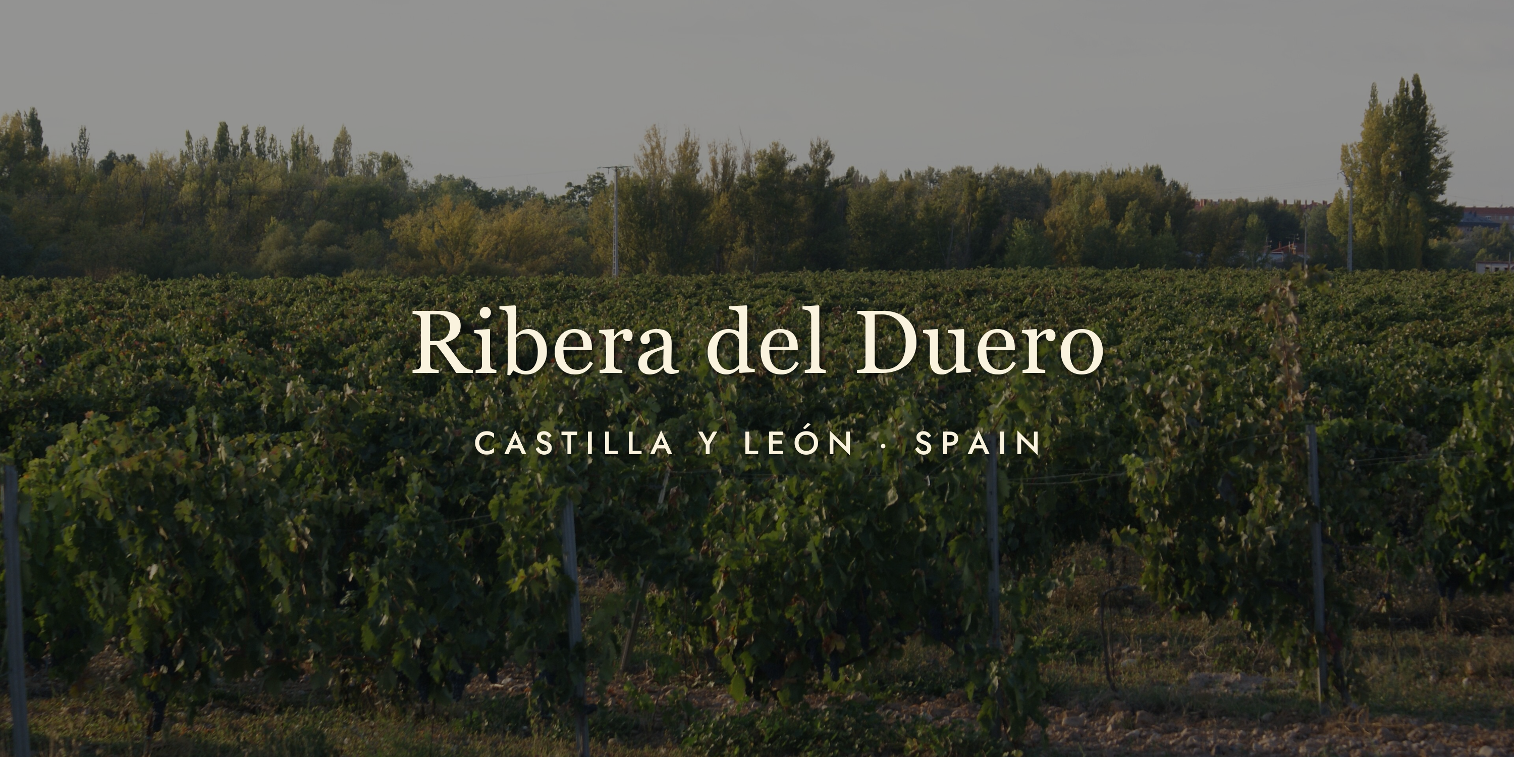 Ribera del Duero: Spain's Other Great Red Wine Region