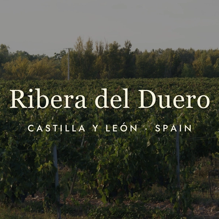 Ribera del Duero: Spain's Other Great Red Wine Region